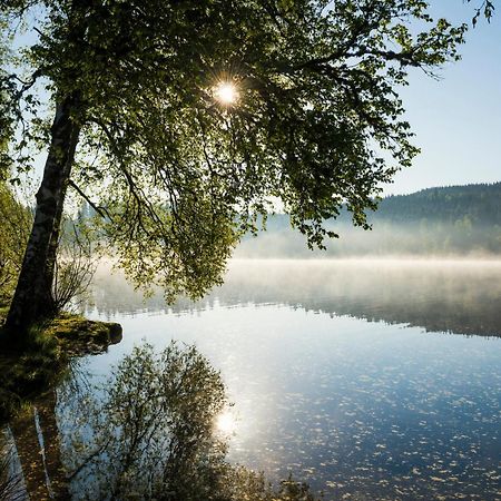 Ferienwohnung Am Schwellenweiher เฟลด์แบร์ก ภายนอก รูปภาพ