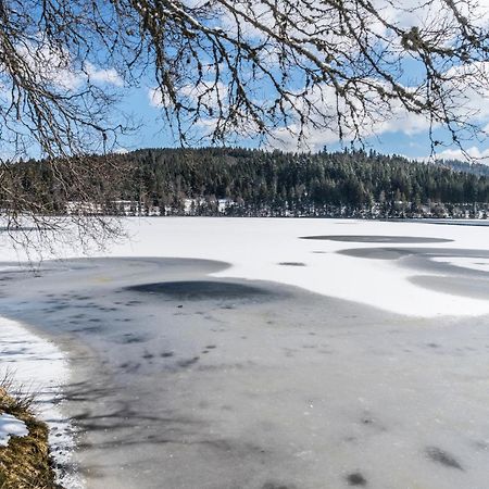 Ferienwohnung Am Schwellenweiher เฟลด์แบร์ก ภายนอก รูปภาพ