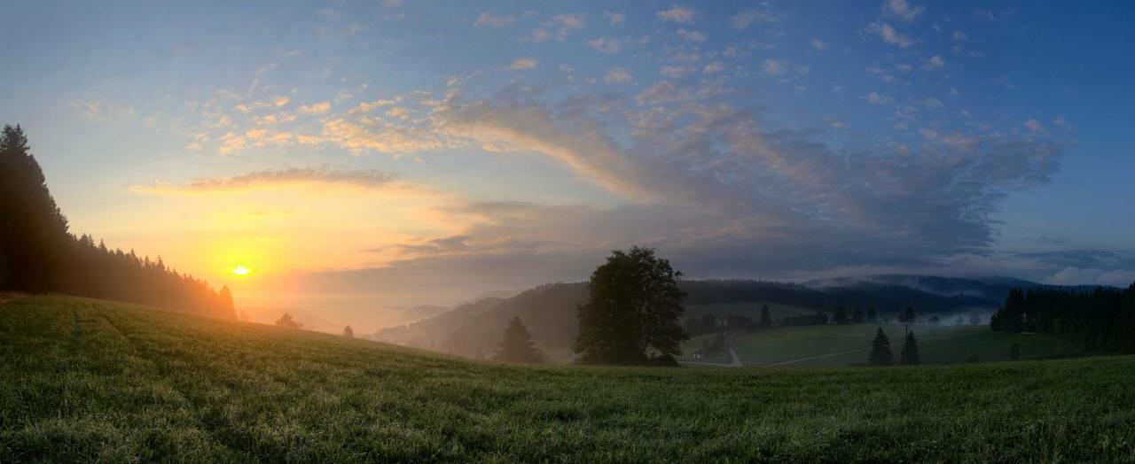 Ferienwohnung Am Schwellenweiher เฟลด์แบร์ก ภายนอก รูปภาพ