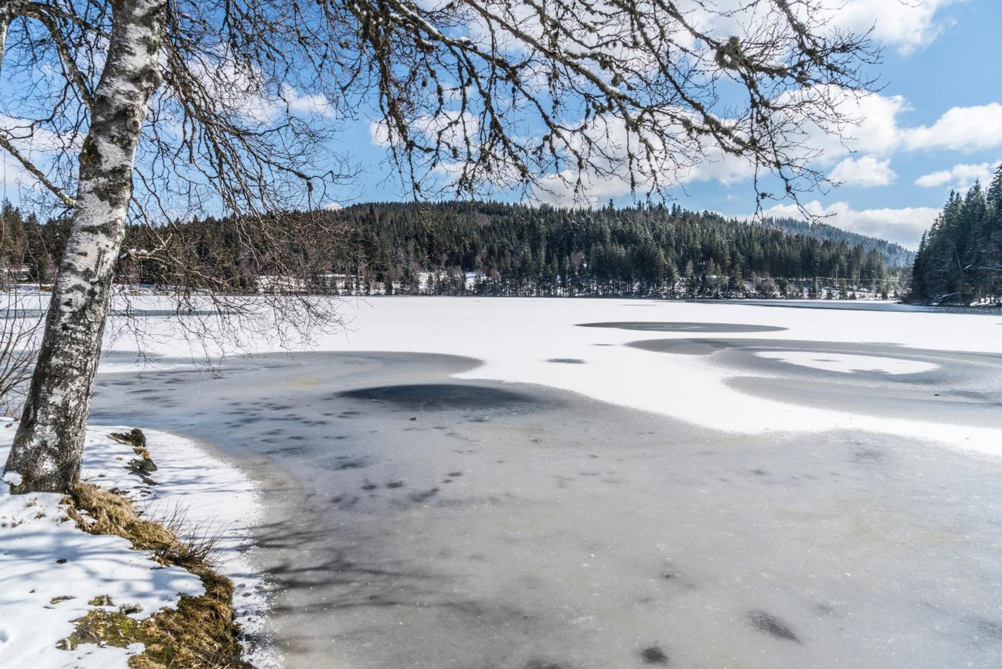 Ferienwohnung Am Schwellenweiher เฟลด์แบร์ก ภายนอก รูปภาพ