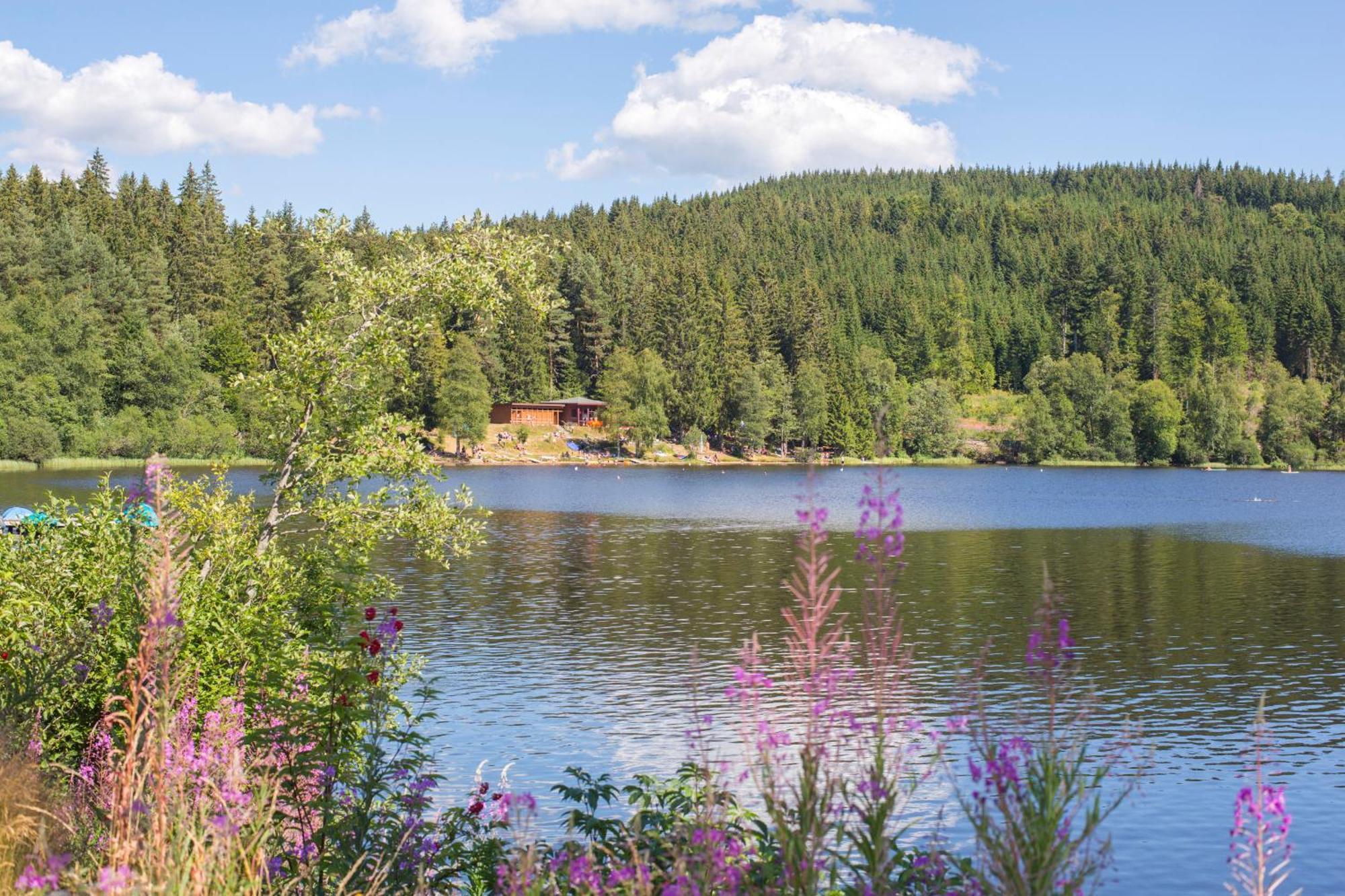 Ferienwohnung Am Schwellenweiher เฟลด์แบร์ก ภายนอก รูปภาพ