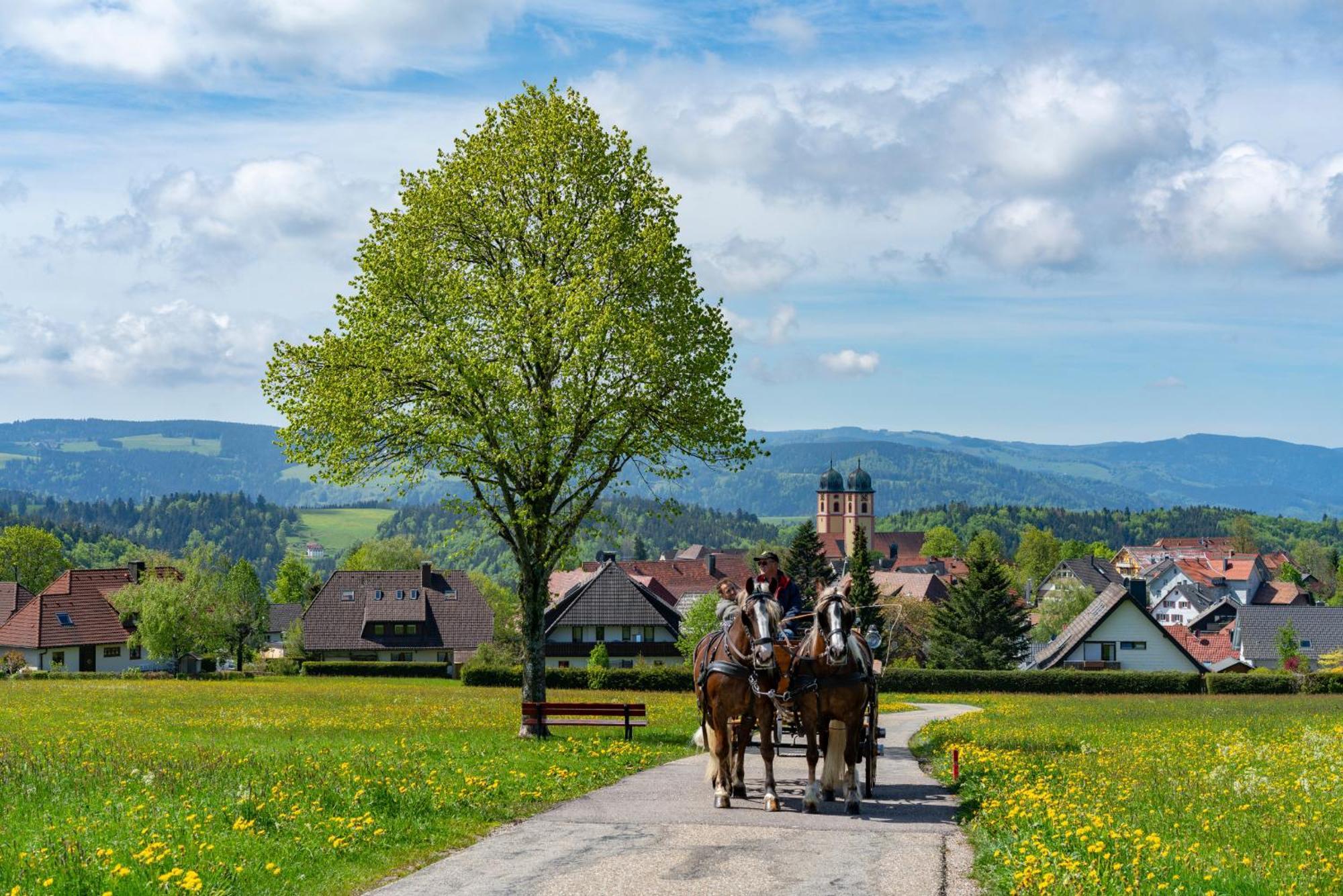 Ferienwohnung Am Schwellenweiher เฟลด์แบร์ก ภายนอก รูปภาพ